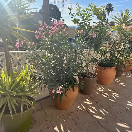 Wyndham 4 Bed House Tatil Evi El Faro